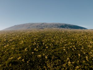 Wolf Volcano © Joshua Vela Fonseca