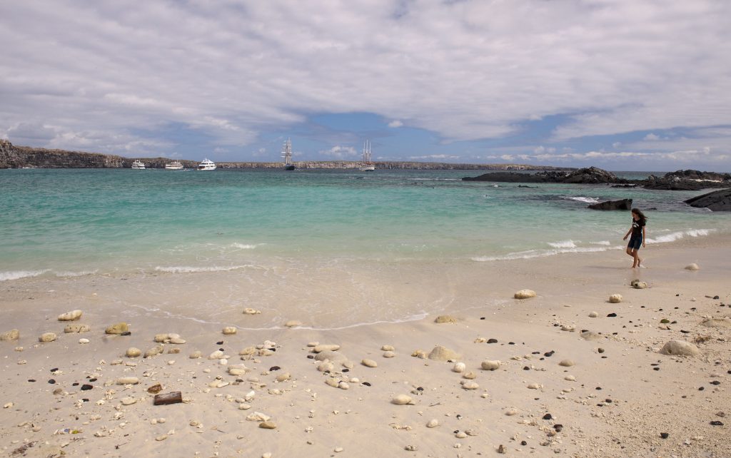 Darwin Beach on Genovesa by Alf Jacob Nilsen