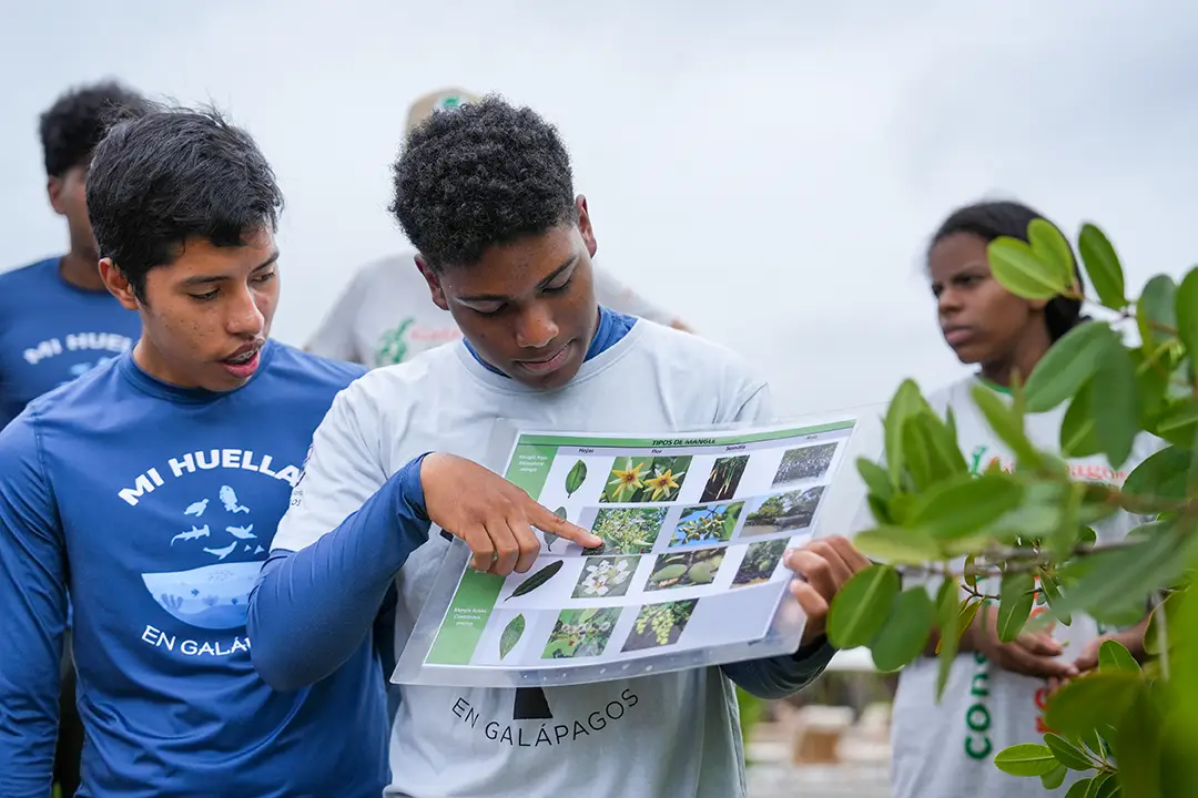 Educating Students for Sustainability