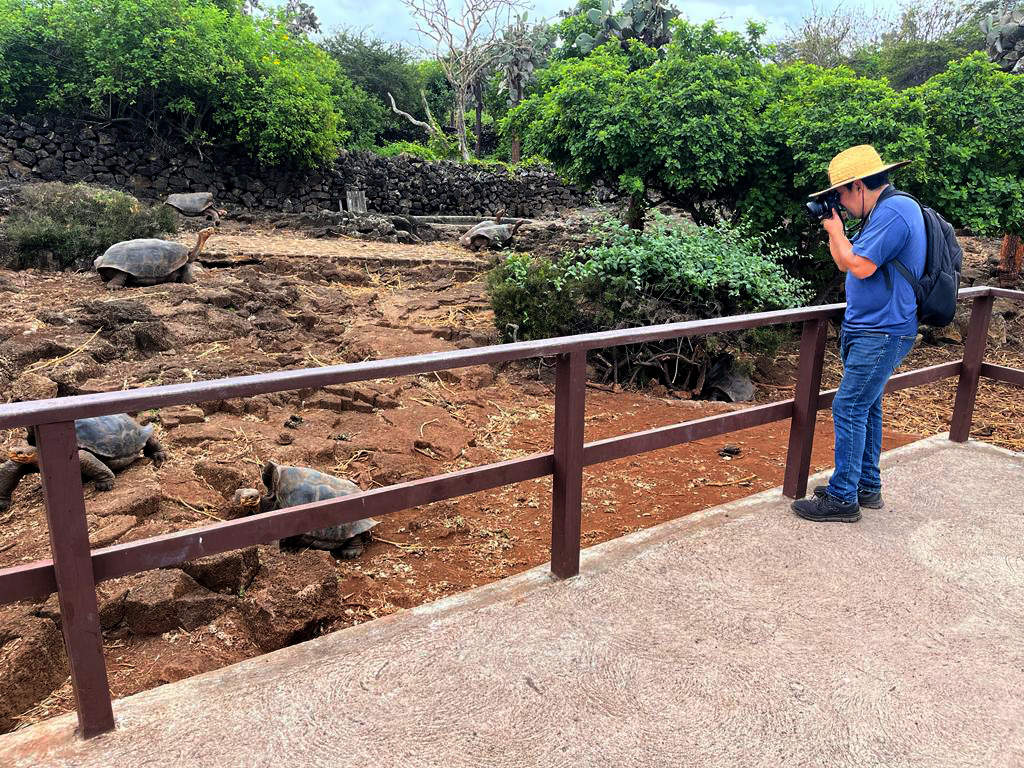 Protecting giant tortoises: Montalvo's project