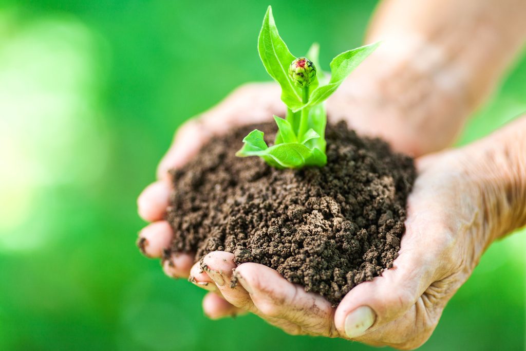 To Conserve Soil Is To Ensure Our Survival
