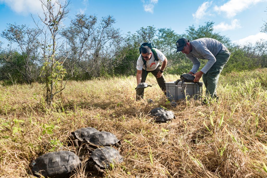 Expeditions in 2023 To Safeguard Wildlife in Galápagos