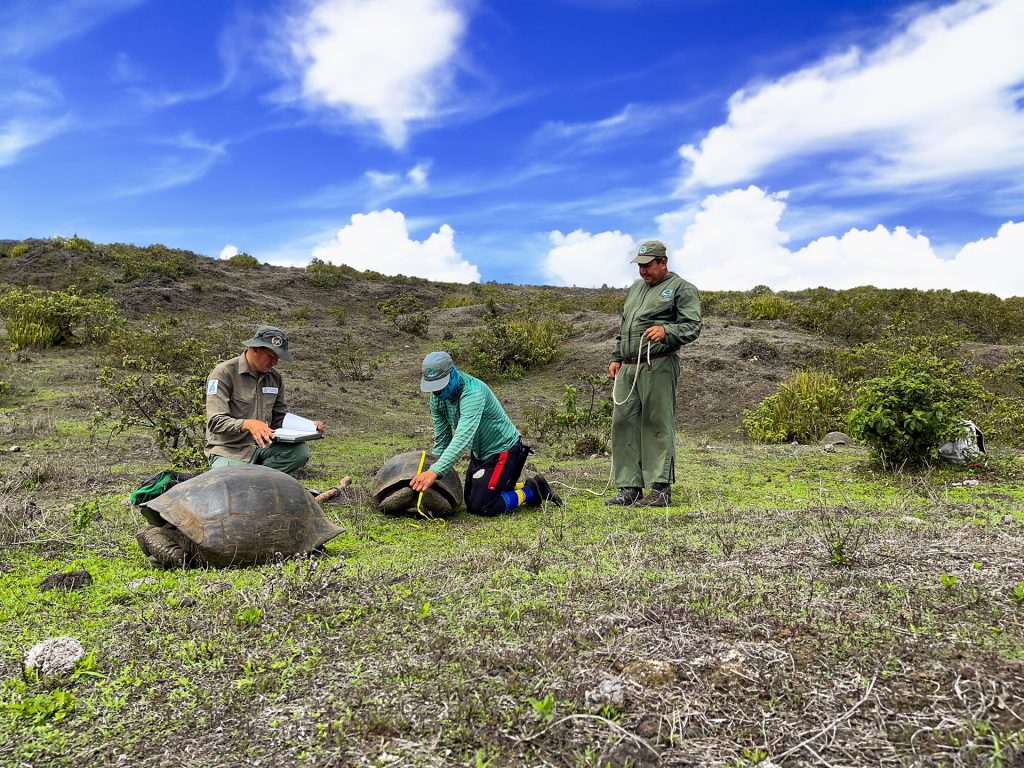 Expeditions in 2023 To Safeguard Wildlife in Galápagos