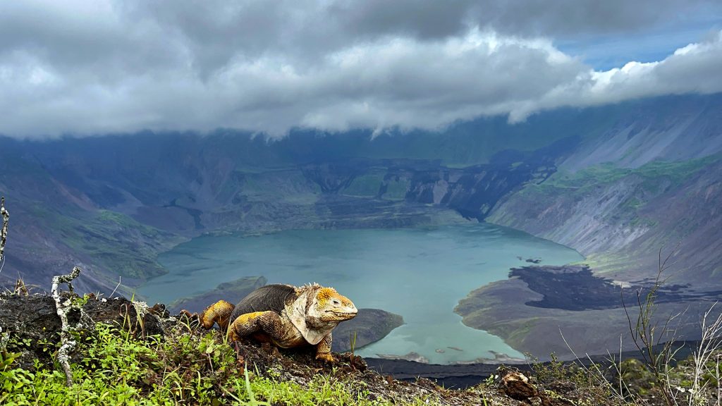 Galápagos National Park's 64-Year