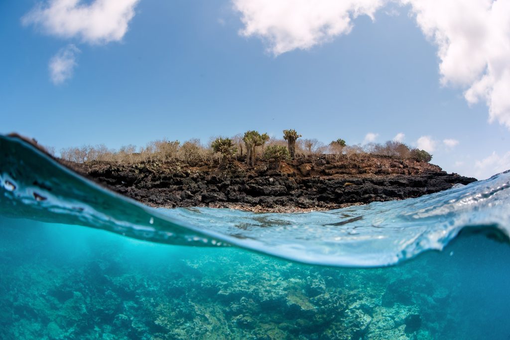 The Importance of Galápagos' Marine and Terrestrial Ecosystems