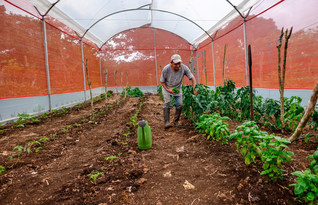 Empowering Sustainable Agriculture and Conservation in Galápagos