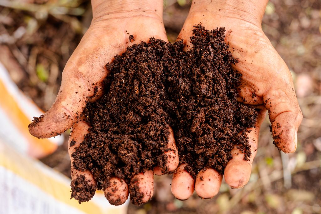 Empowering Sustainable Agriculture and Conservation in Galápagos