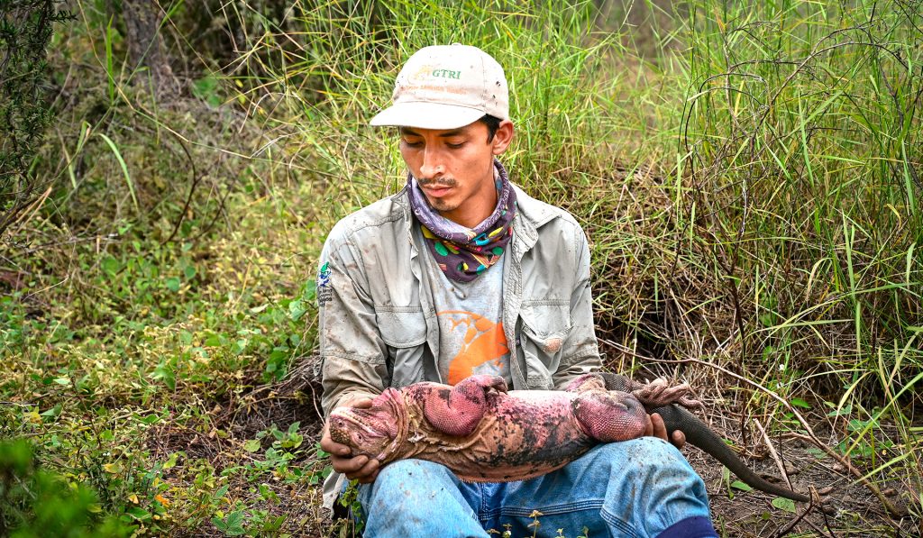 Conservation Highlights From Expedition to Wolf Volcano