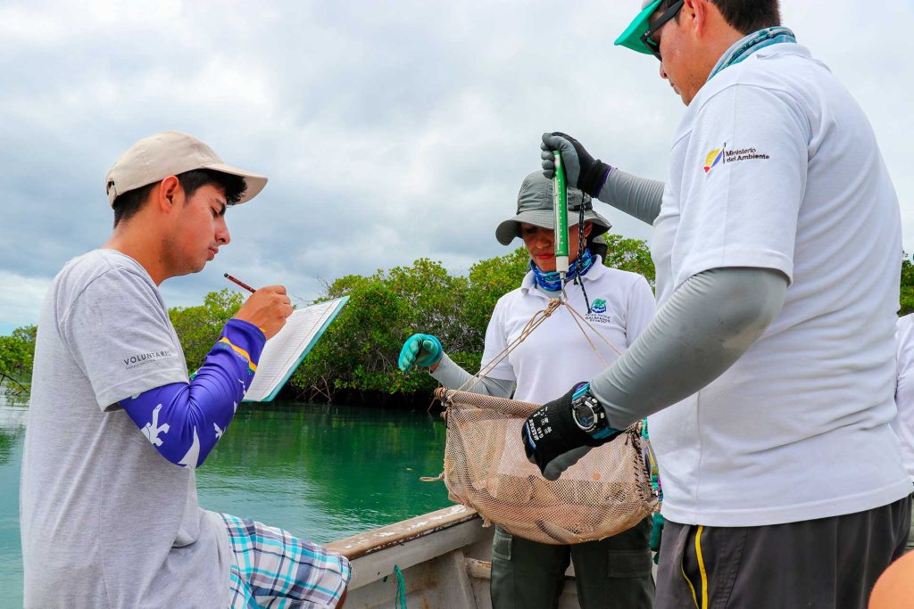 eco tourism in galapagos Galápagos Sharks: Monitoring for Conservation and Education