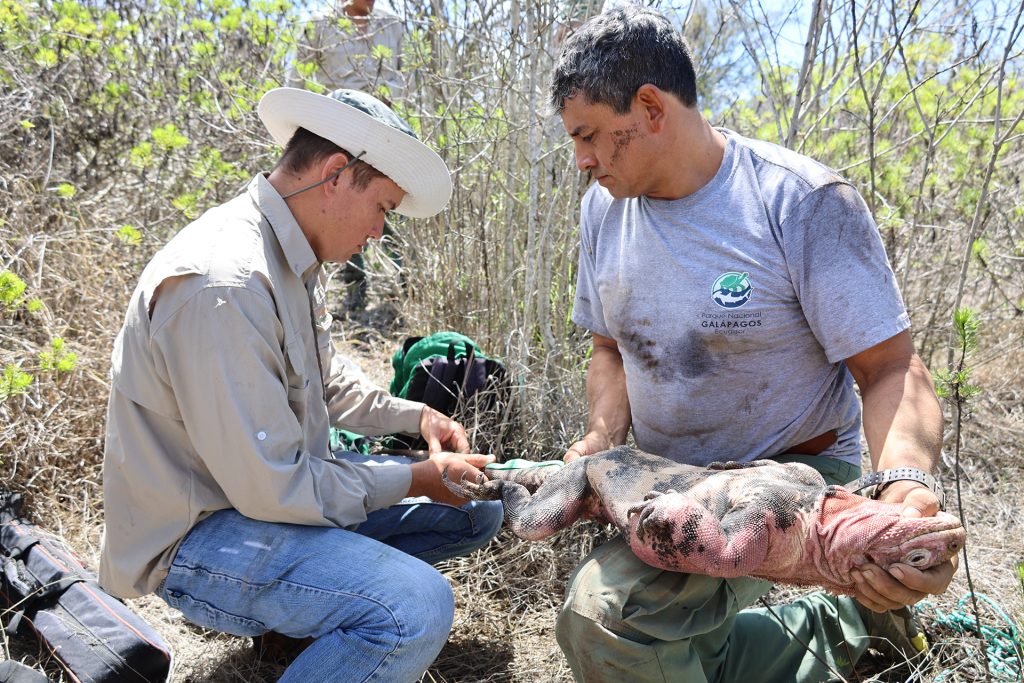 Renovamos Nuestro Compromiso para Proteger el Archipiélago de Galápagos para las Generaciones Futuras