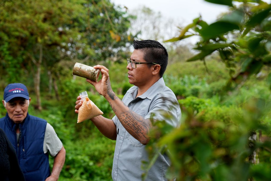 Alliance Against Invasion: Tackling Ant Threat Galápagos