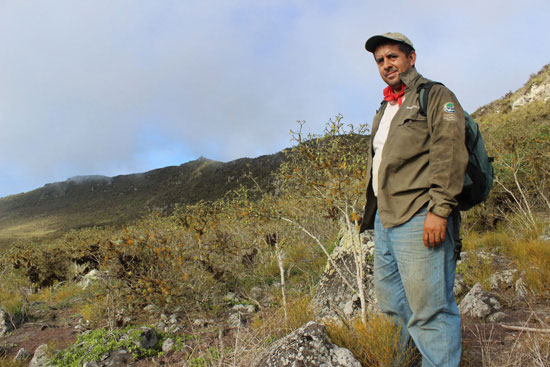 “All of this expertise translates to hope for the Galapagos giant tortoises,” Tapia says. “For the Fernandina tortoise this week there will be many Park rangers searching methodically to find more tortoises to solve this mystery.”