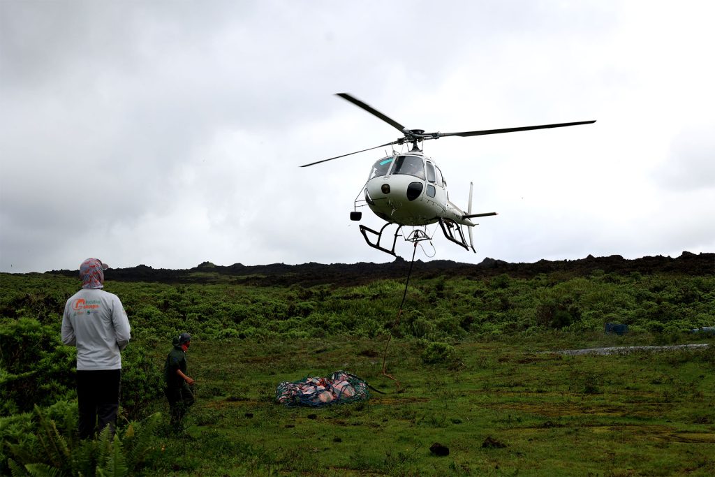 136 Galápagos Tortoises Remarkably Return Home