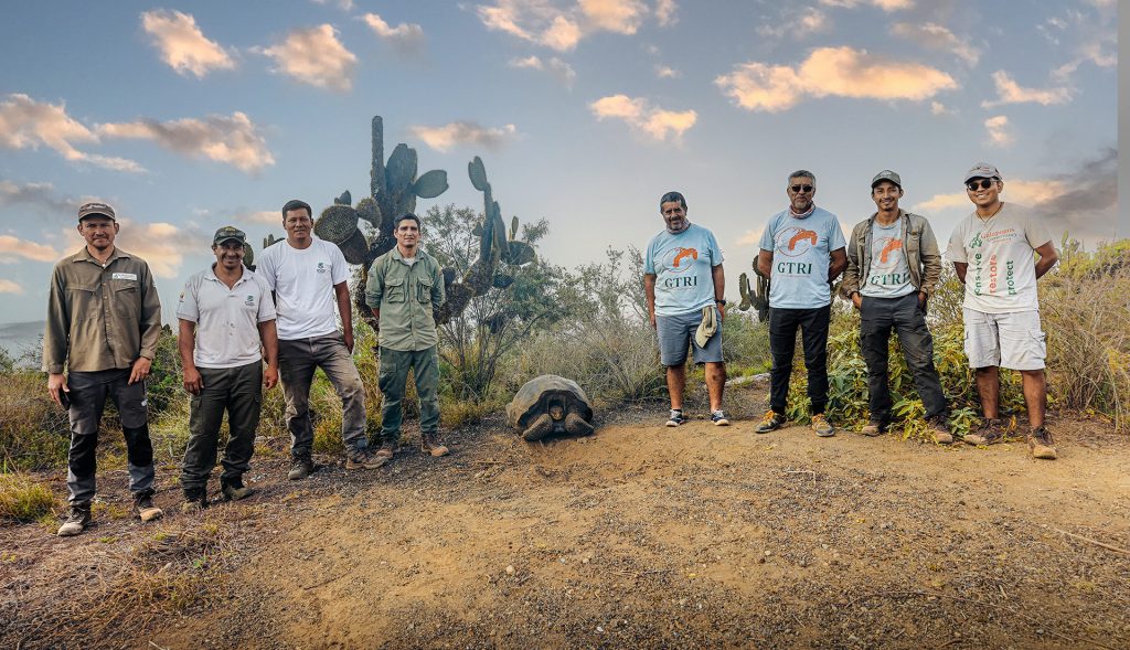Successful expedition to monitor populations of Pink Iguanas, Yellow Iguanas, and Giant Tortoises on Wolf Volcano