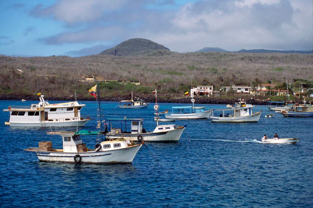 Los Efectos de El Niño en las poblaciones humanas y la biodiversidad de Galápagos