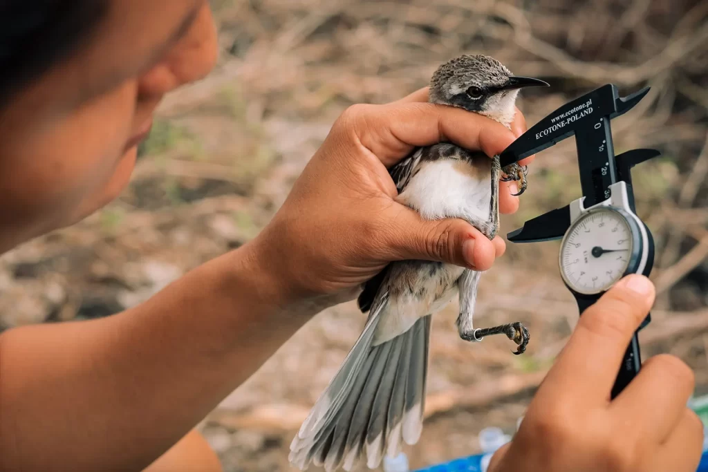 Celebrando el Día Internacional de la Mujer en la Ciencia: Dos Ejemplos de Pasión y Compromiso en Galápagos