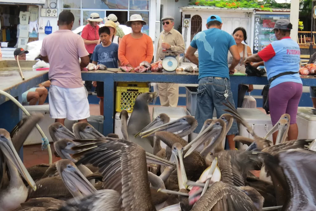 Nos Unimos a la Celebración de los 51 Años de Provincialización de Galápagos