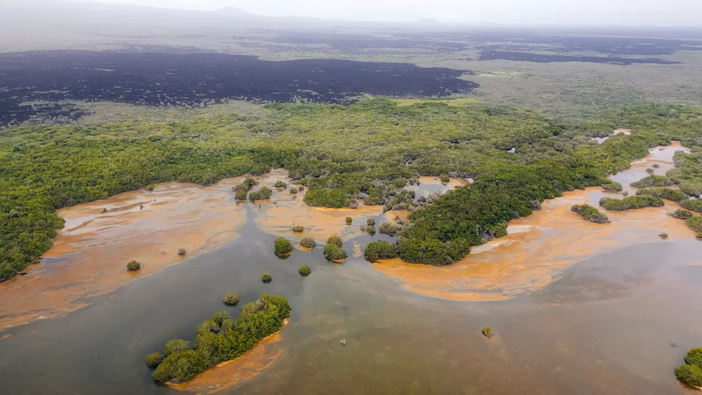 Galápagos Celebrates International Wetlands Day: Highlighting Isabela’s Role as a Ramsar Site