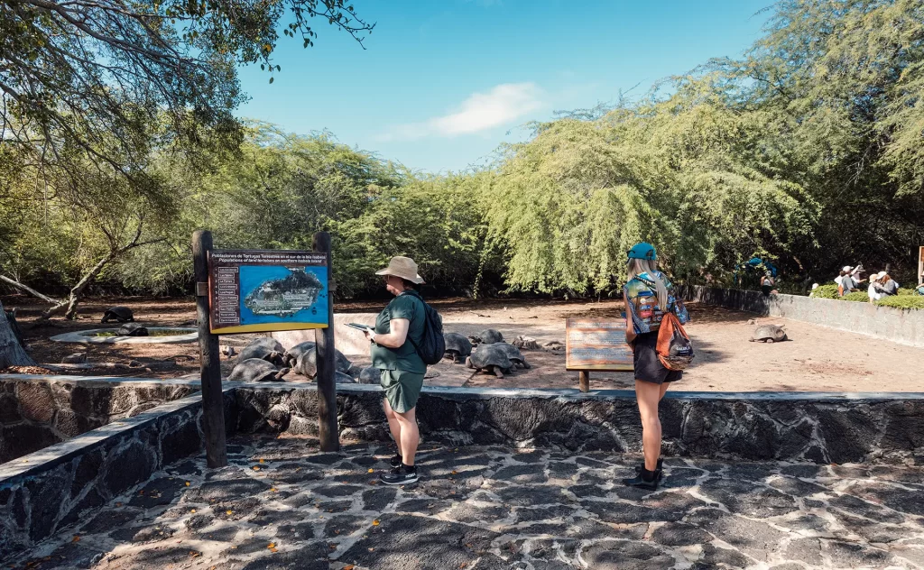 Protegiendo a las Gigantes de Galápagos mediante la optimización del Centro de Crianza de la isla Isabela