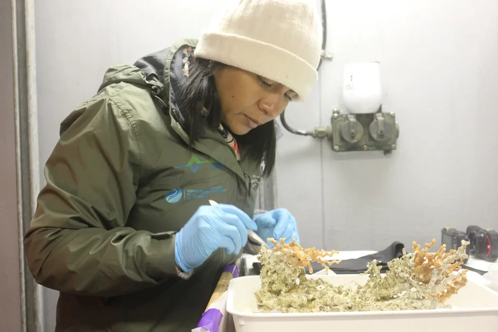 Jenifer Suárez: A Beacon Amid Global Coral Challenges
