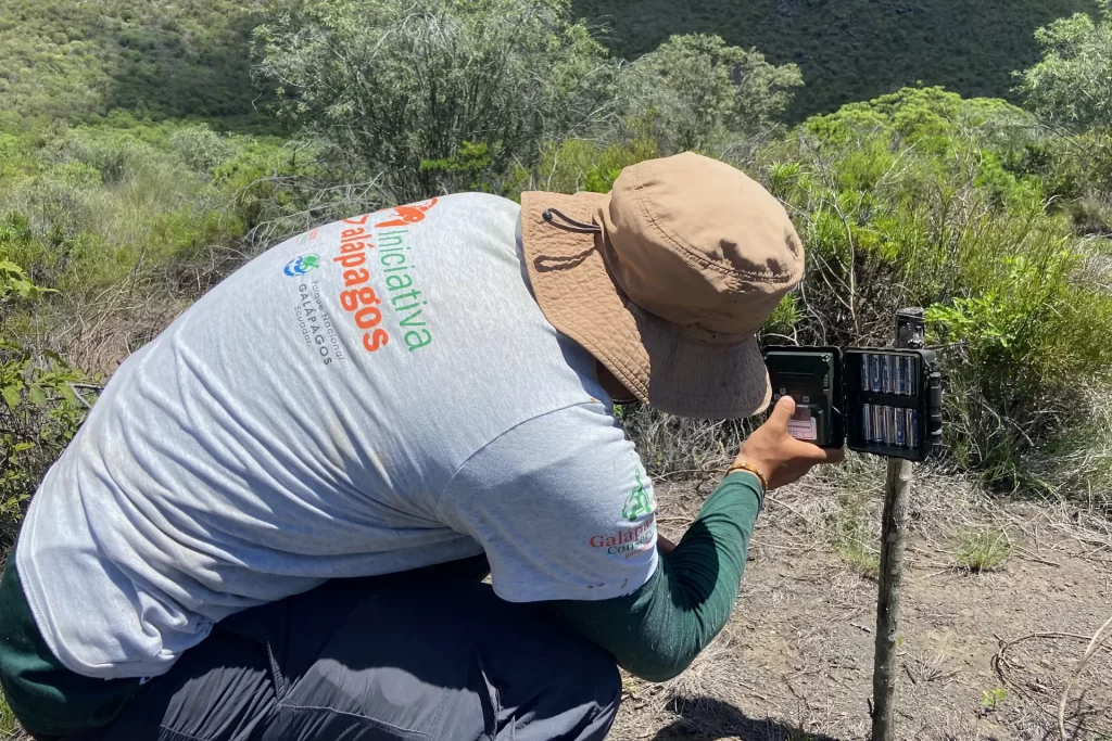 Explorando Volcán Wolf en una Nueva Expedición de Conservación