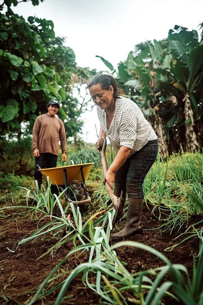 The Transformative Impact of Local Agriculture in a Community