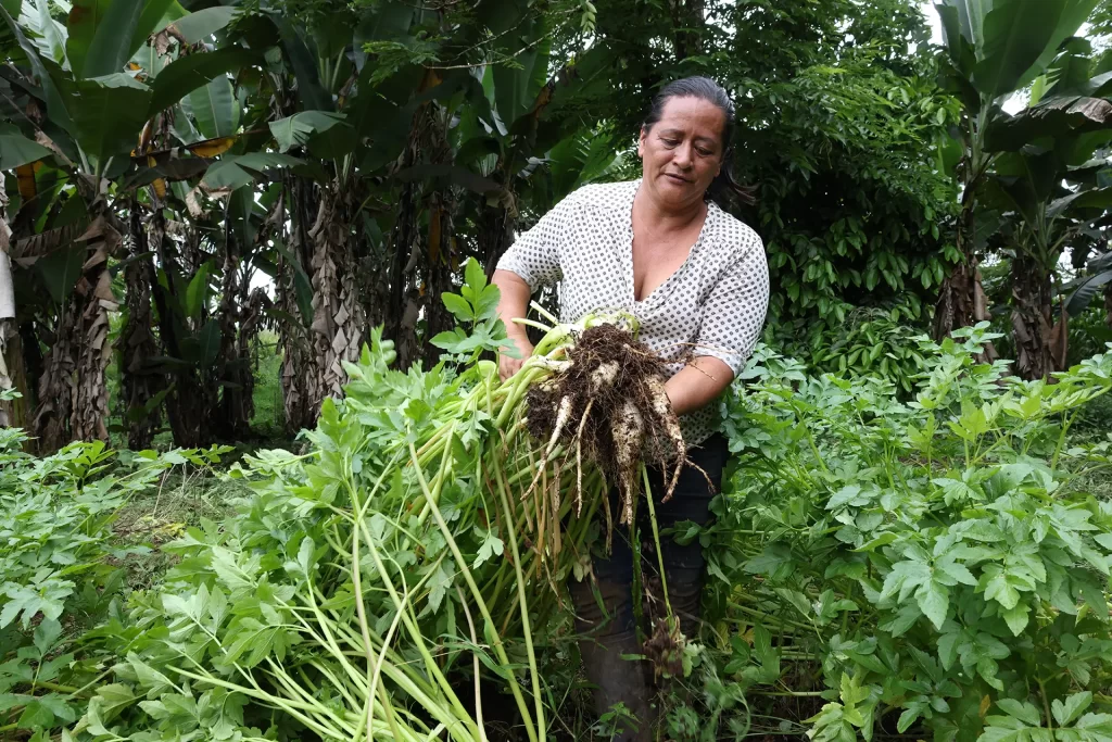 The Transformative Impact of Local Agriculture in a Community