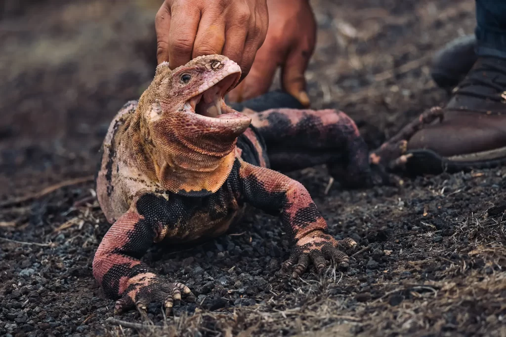 Expediciones de Conservación que Marcaron el 2023