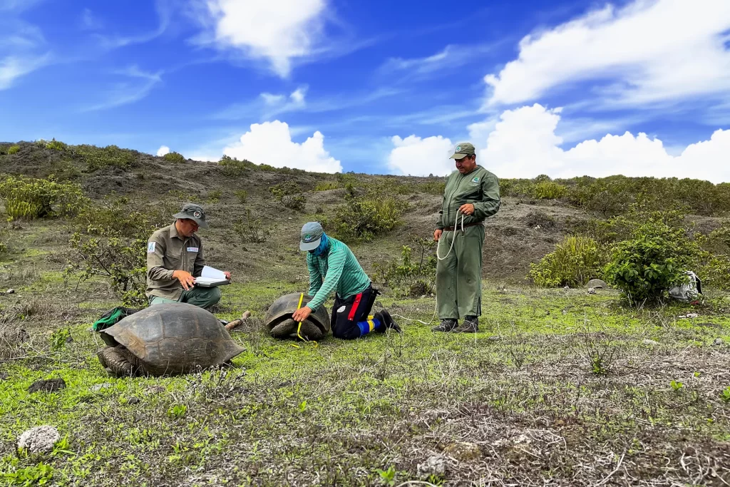 The Conservation Expeditions that Defined Iniciativa Galápagos in 2023