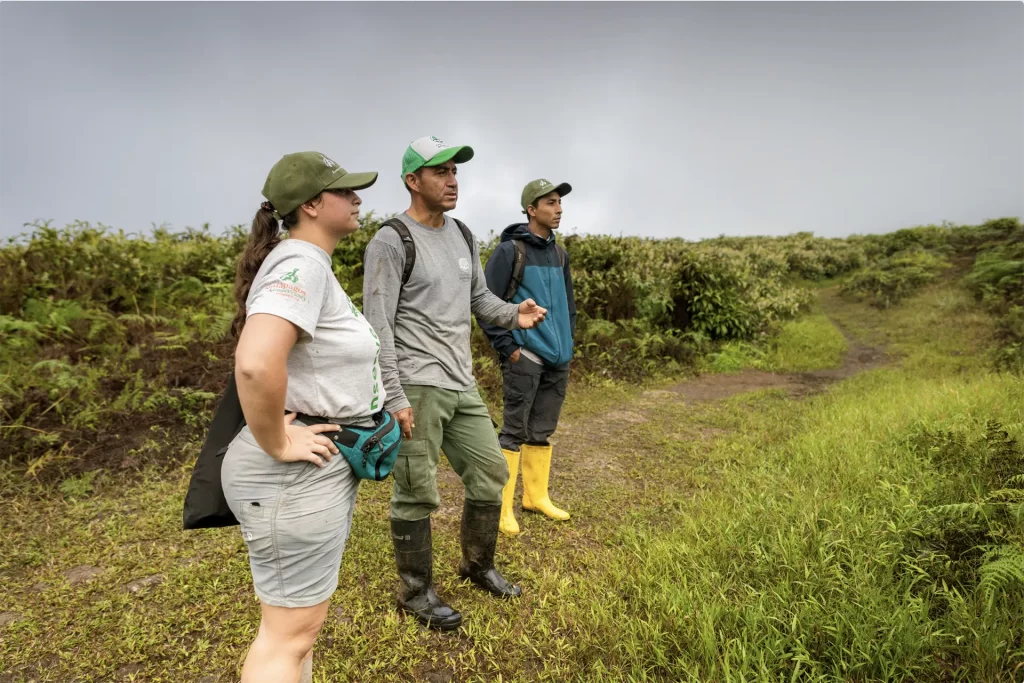 Conserving the Galápagos Petrel: A Plan for Survival