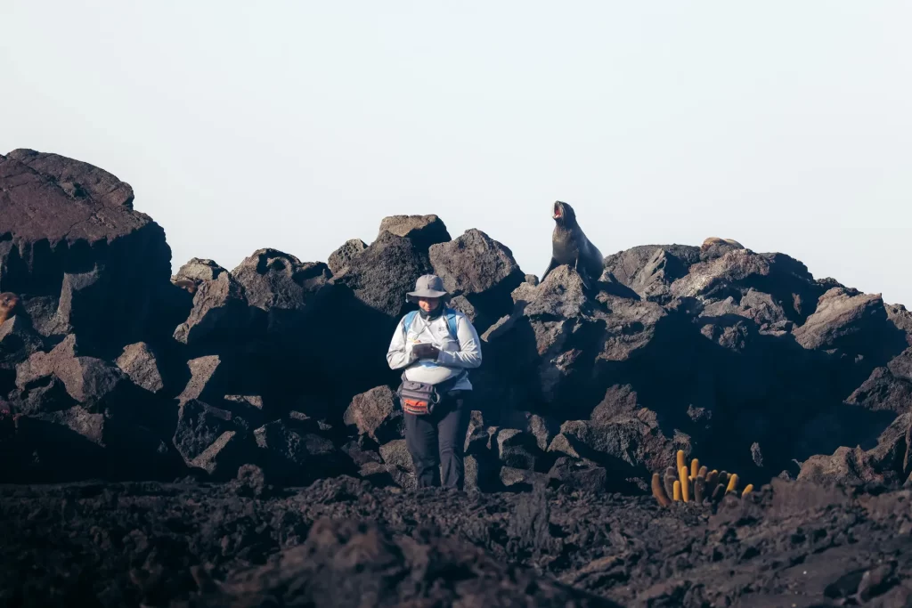 The 2024 Galápagos Pinnipeds Research and Monitoring Expedition