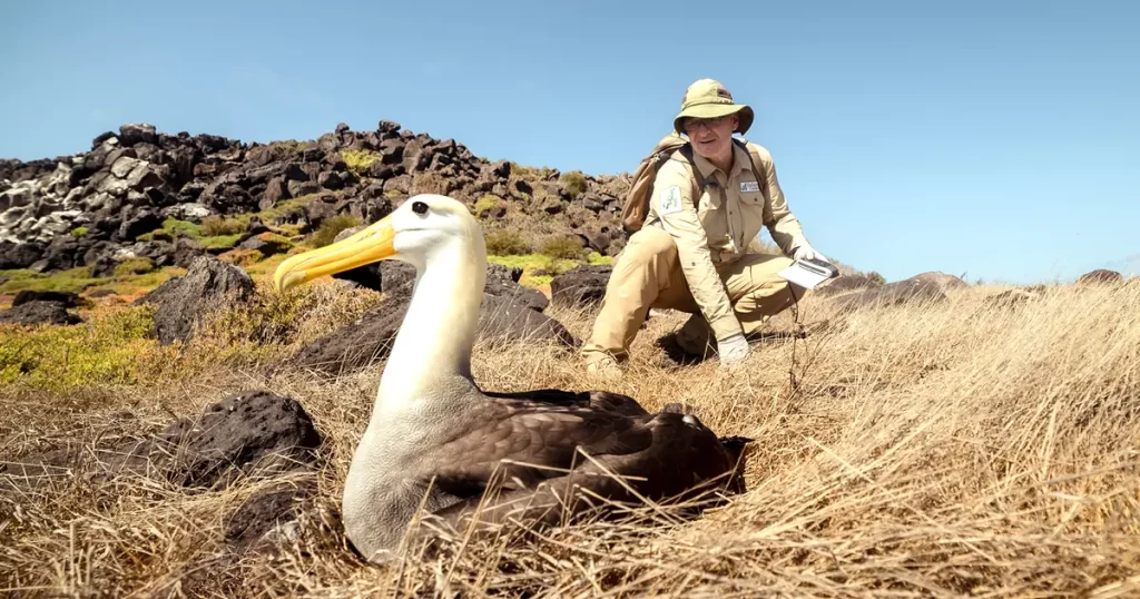 Descubriendo los Misterios de la Anidación de Albatros en Galápagos
