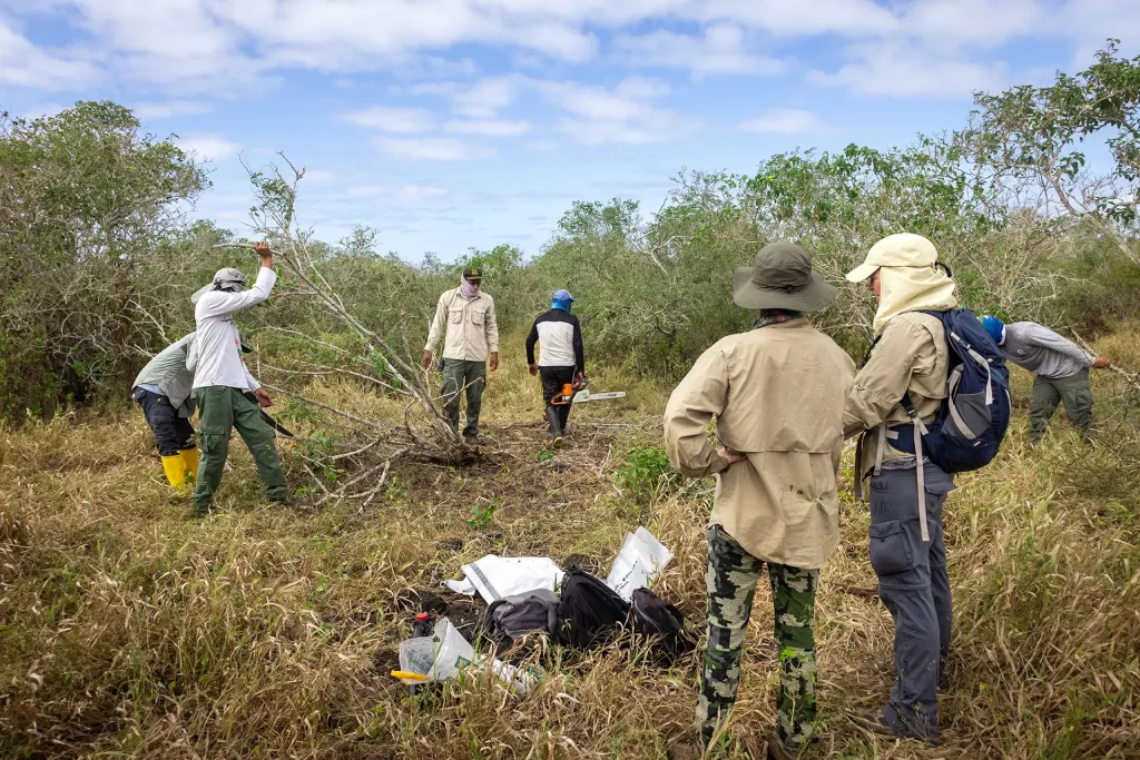 Expedition to Help Nesting Waved Albatross a Success