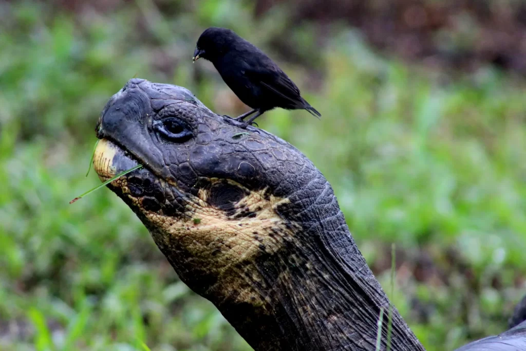 May 22: Celebrating International Day for Biological Diversity