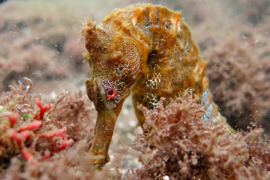 May 22: Celebrating International Day for Biological Diversity