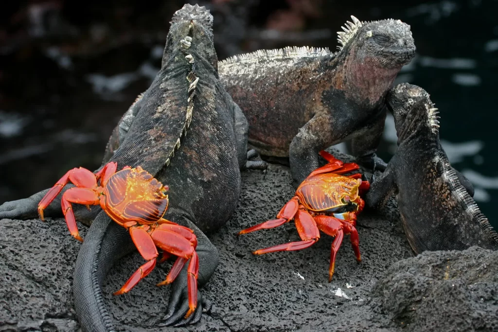 May 22: Celebrating International Day for Biological Diversity
