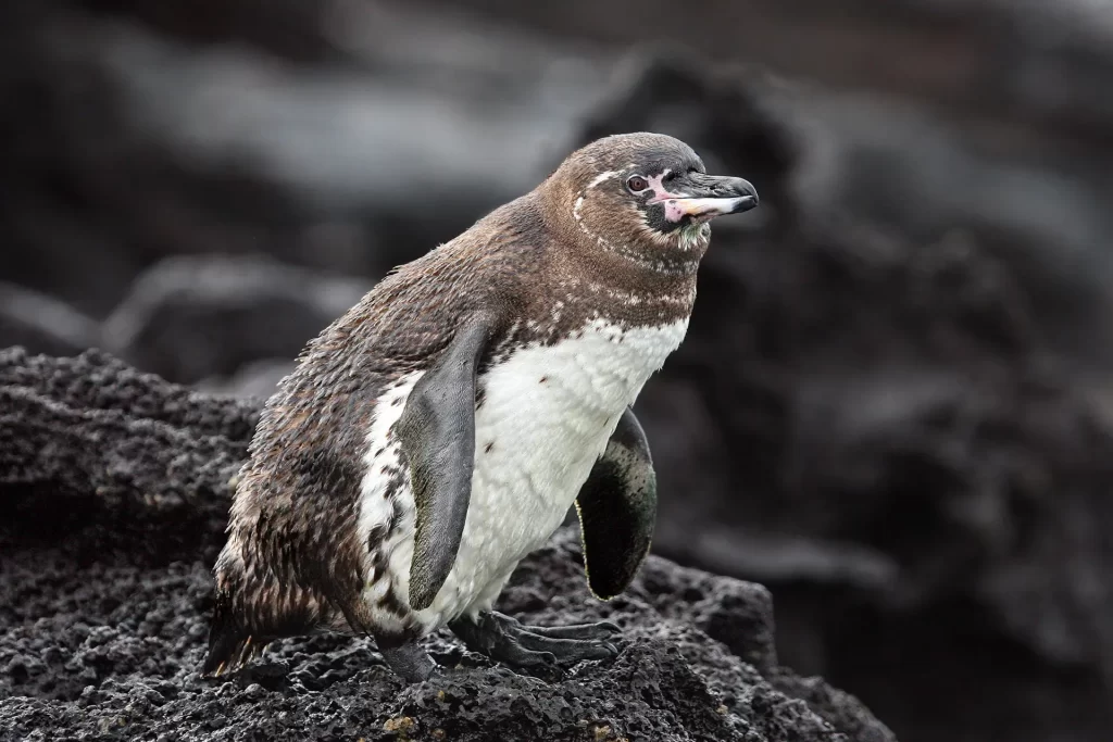 May 22: Celebrating International Day for Biological Diversity