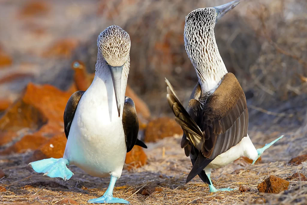 May 22: Celebrating International Day for Biological Diversity