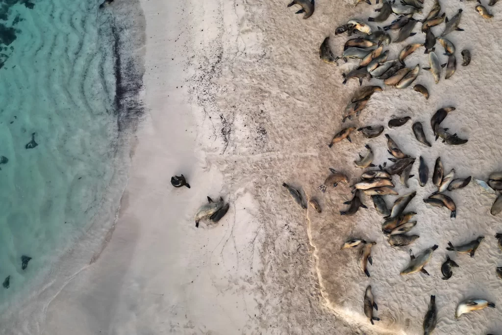 Celebrando el Día Mundial del Medio Ambiente con Galápagos Conservancy