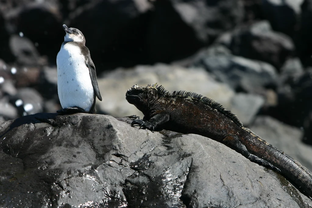 Compromiso con la Conservación de las Áreas Protegidas de Galápagos