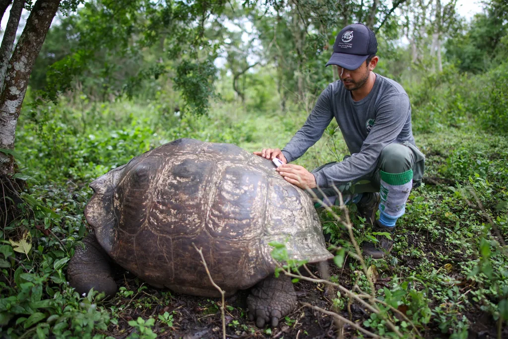 El Uso de Rastreadores Satelitales de Animales en Galápagos