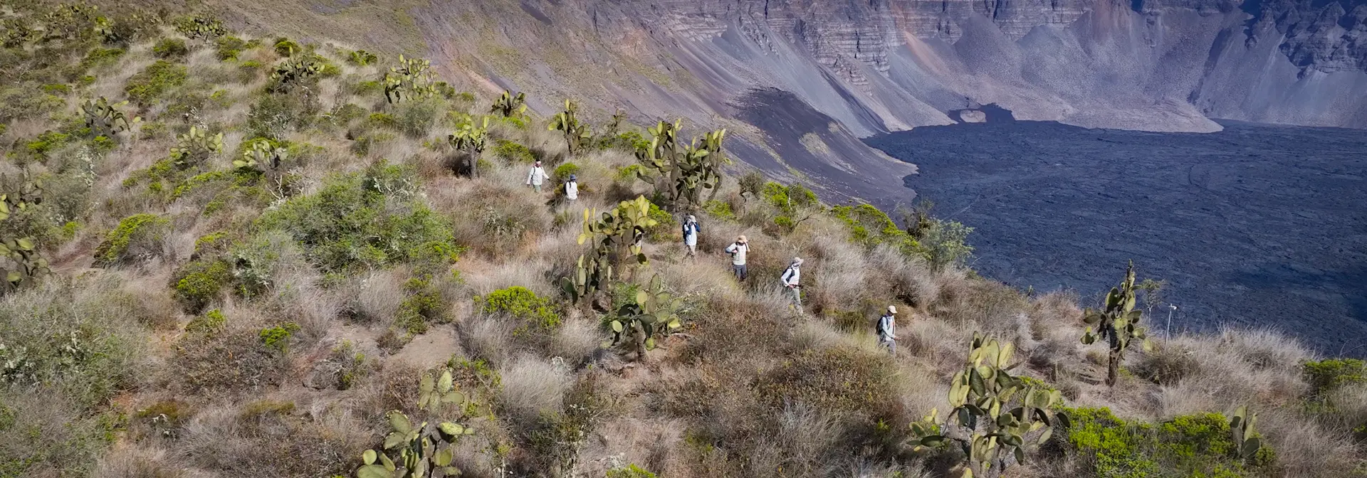 New Expedition to Wolf Volcano: Protecting the Pink Iguana