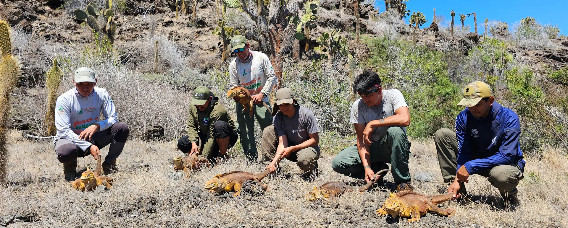 Hitos de Conservación de Galápagos Conservancy en 2024.