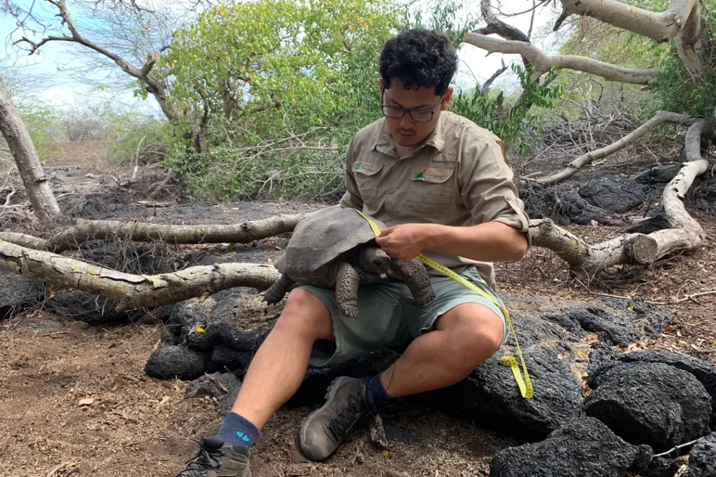 Centros de Crianza de Tortugas Gigantes en Galápagos