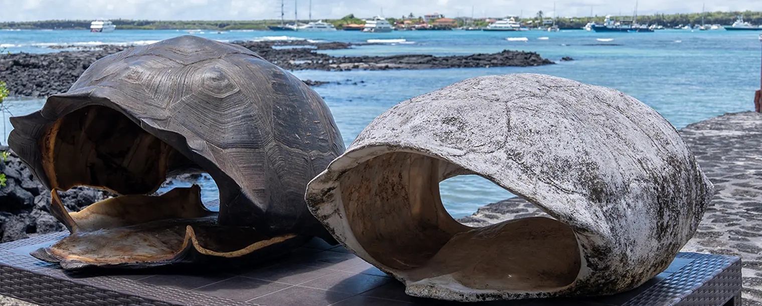 Importante Contribución a la Ciencia y Conservación en Galápagos