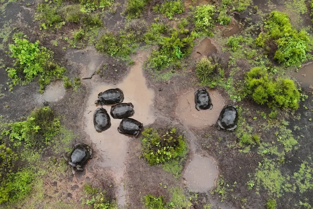 Un Encuentro Que Cambió la Historia de Galápagos