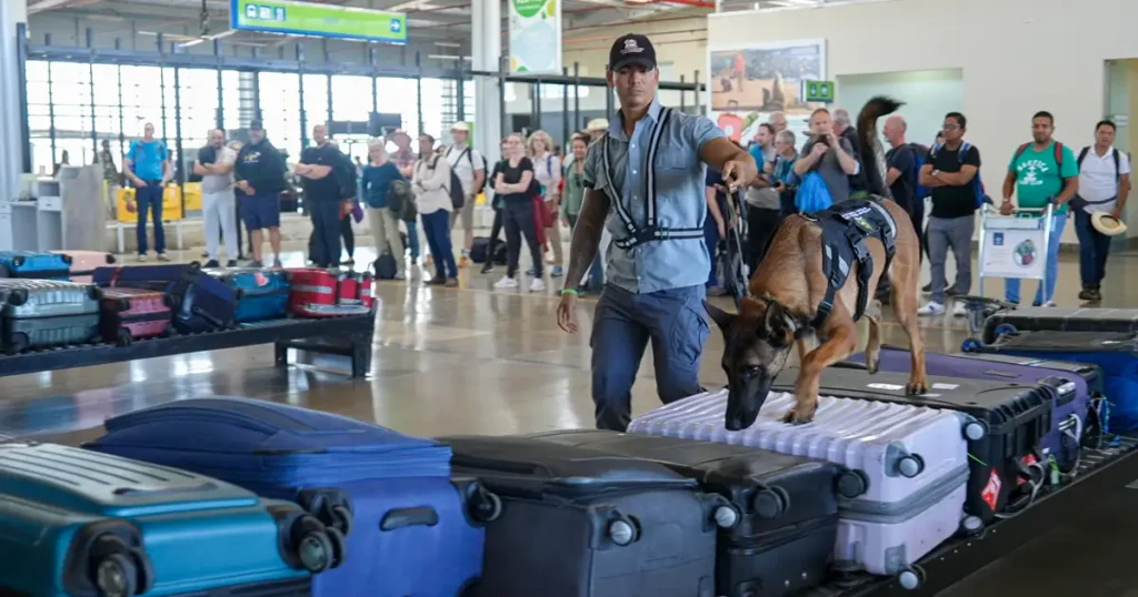 The Canine Brigade Defending the Galápagos Islands
