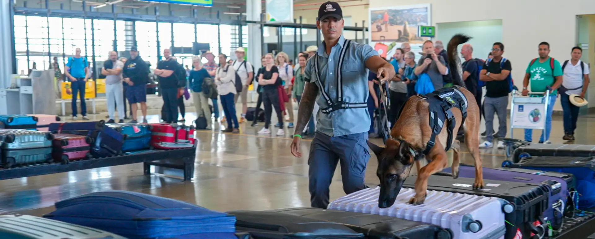 Brigada Canina que Protege Galápagos