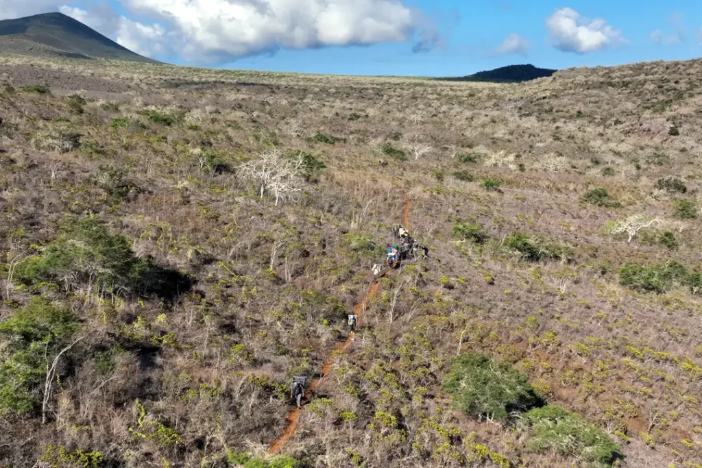 A Homecoming for Floreana