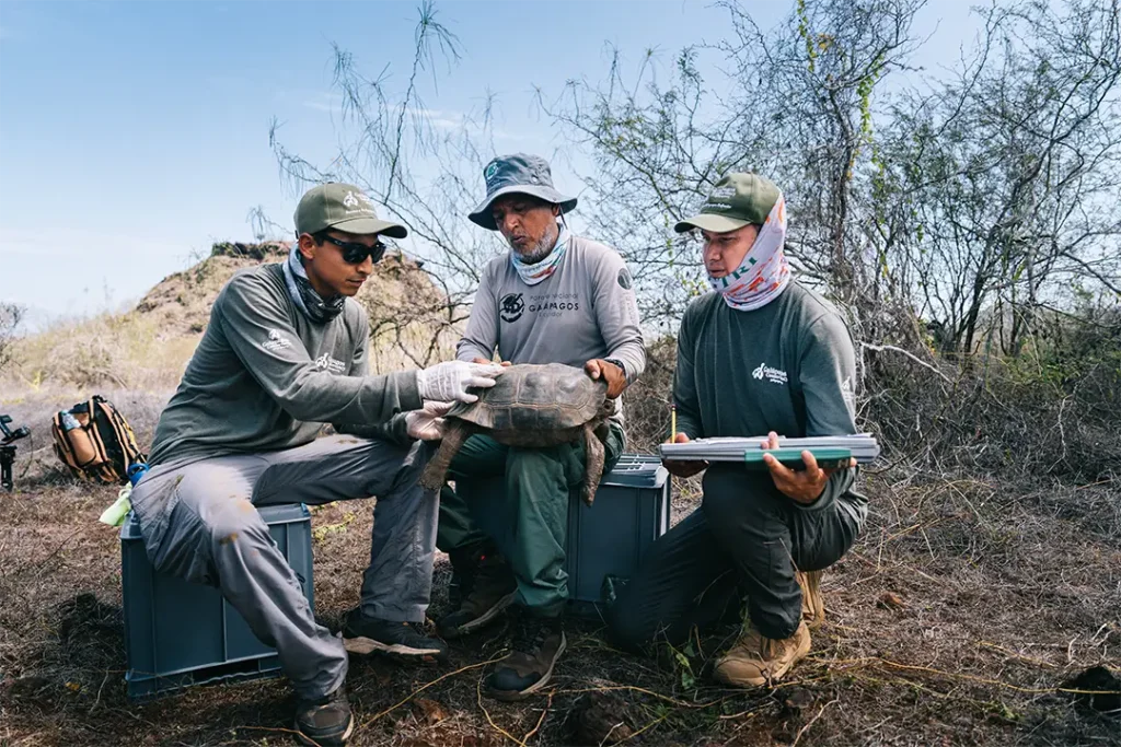A Homecoming for Floreana